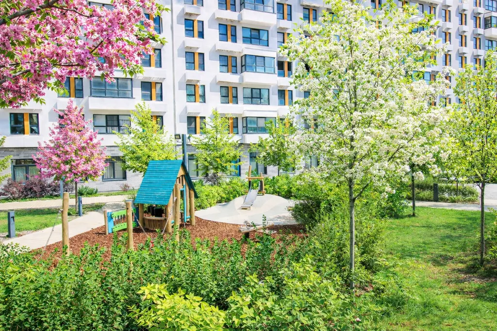 Сканди у моря