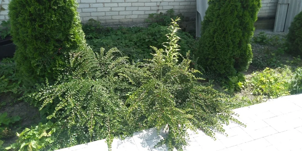 Отдельный домик недалеко от моря