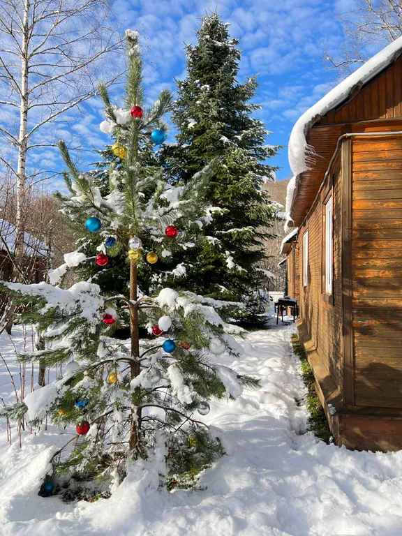 Квартира Жилая комната на четверых в деревянном таунхаусе — Апшеронск