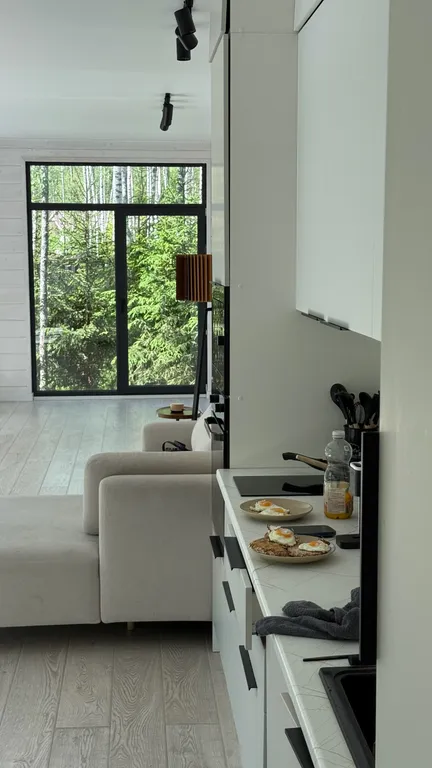 Коттедж Панорамный дом в окружении леса с сауной и чаном — Семеновское