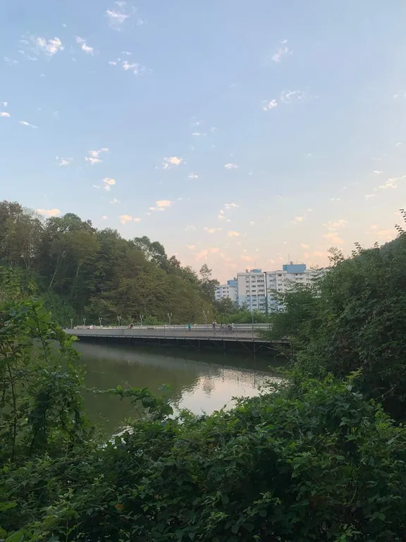 Квартира Уютная квартира — Раздольное