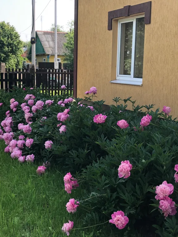 Усадьба Царское село