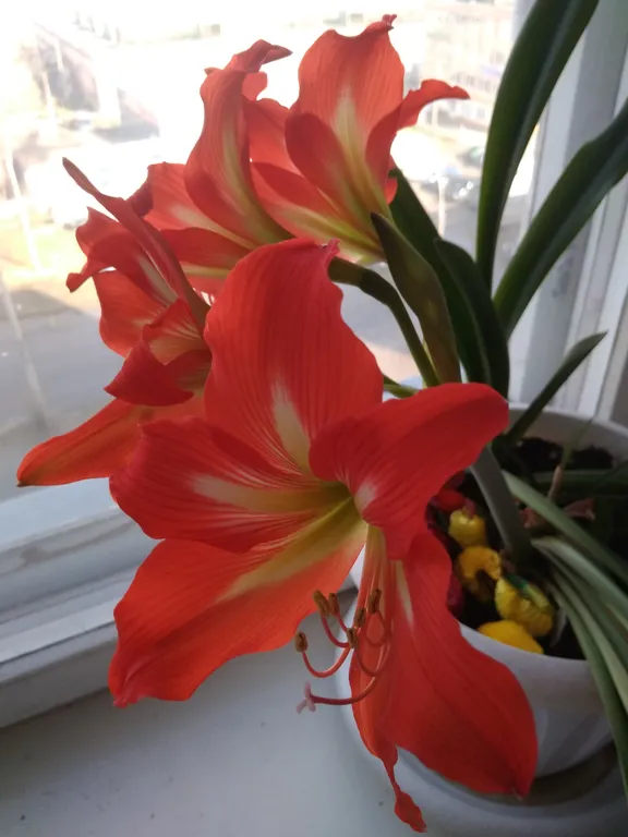 Уютная квартира в престижном районе