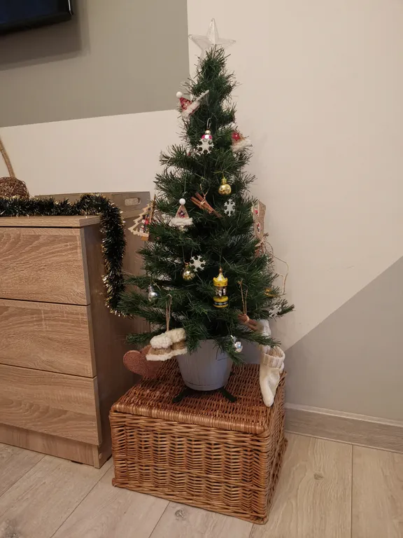 Студия в Эко-стиле