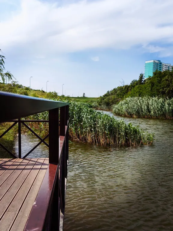 Квартира Апартаменты возле парка отдыха — Ростов-на-Дону