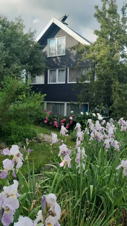 Домик у дуба