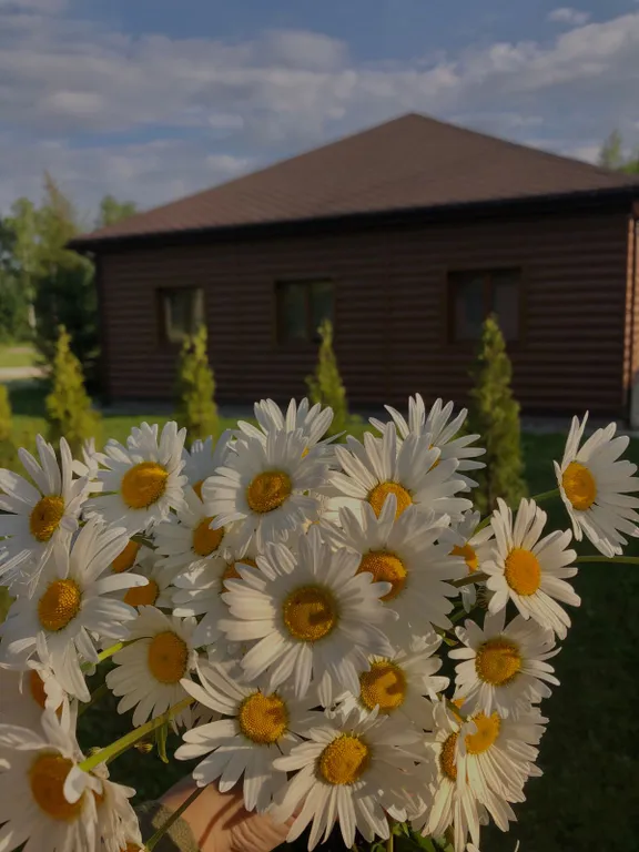 Уютный домик в Ромашково