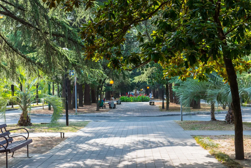 Квартира 3-комнатная Квартира — Сочи