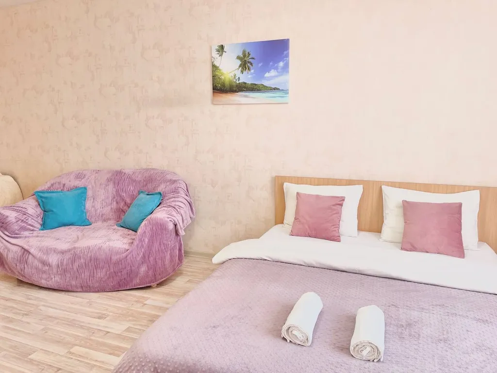 Апартаменты комфорт в центре с дополнительным диваном рядом с ОКБ