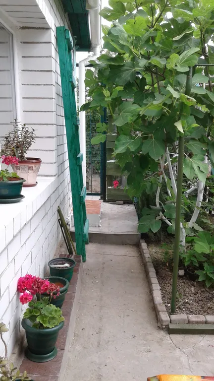 Уютная однокомнатная квартира с зеленым двором