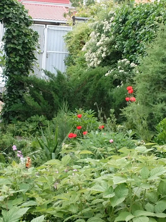 Уютный номер студия в стиле прованс