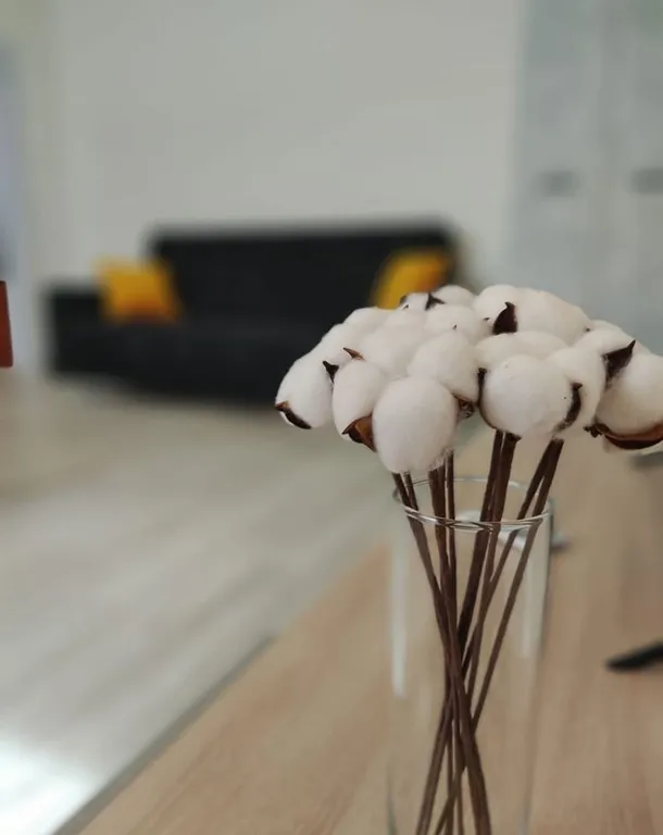 Квартира в центре города с видом на лес