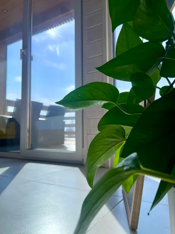 Cube House на берегу Волги