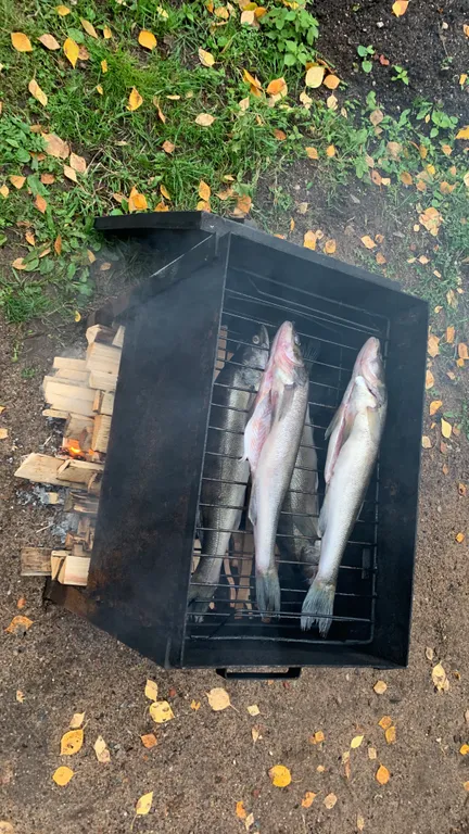 Коттедж Гостевой дом Березово 17 — Березово