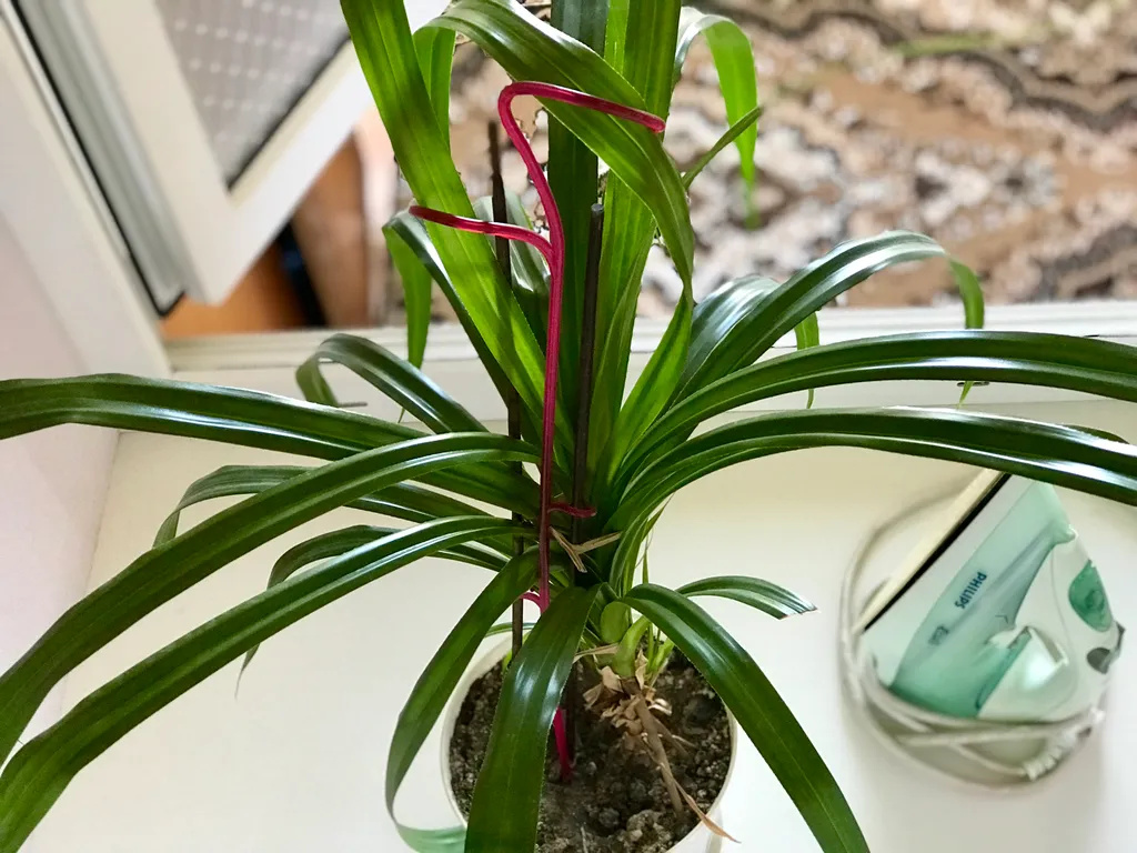 Коттедж Дом с видом на море для семейного отдыха — Севастополь