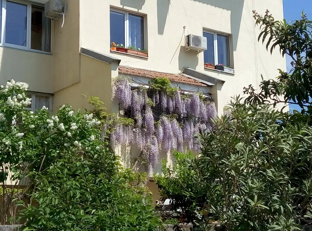 Двухместная комната с видом на горы и сквер