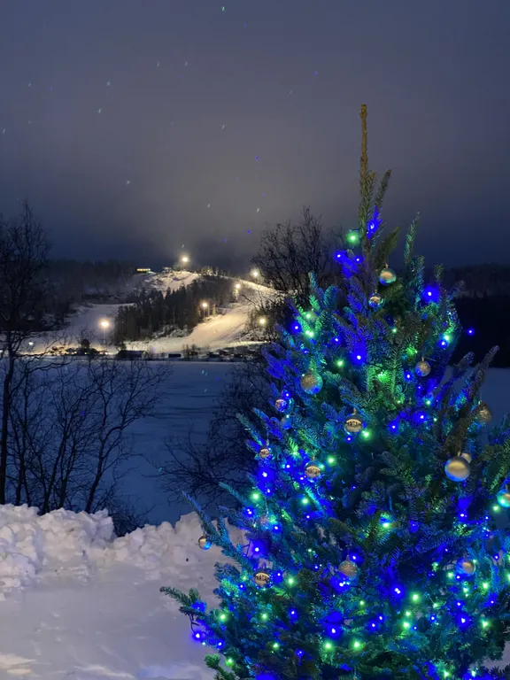 Коттедж Коттедж на берегу озера с видом на горнолыжный курорт и сауной внутри — Заозерный