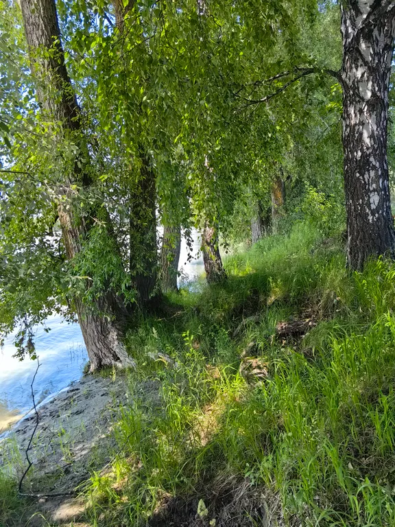 Любимый берег гостевой дом на берегу Катуни