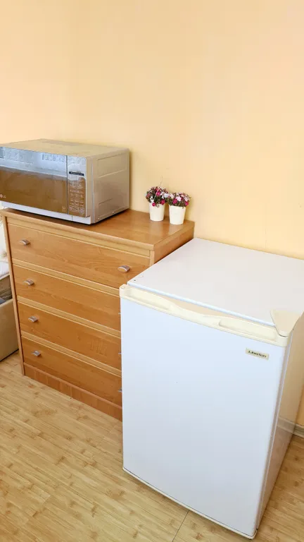 Студия у Воронцовского дворца, до пляжа 5 минут