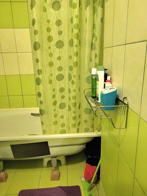 Студия в парковой зоне