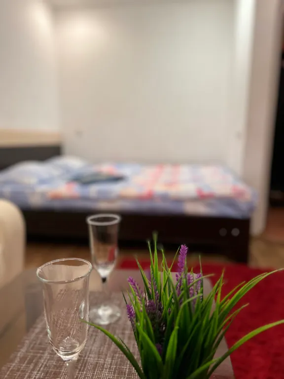 Квартира в центре возле СГМУ и СГУ