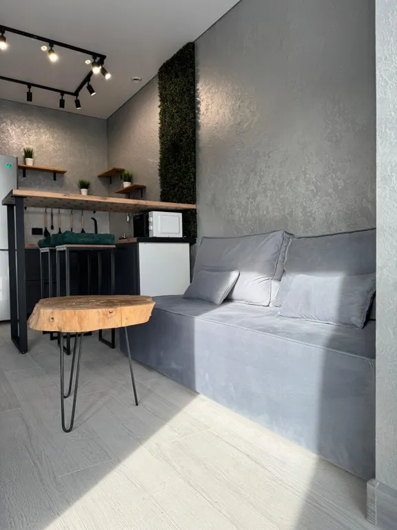 Студия в стиле Loft