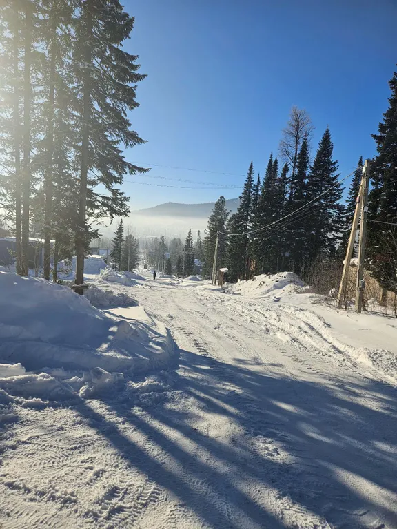 Коттедж Дом в живописнейшем месте в окружении кедровых и пихтовых деревьев — Шерегеш