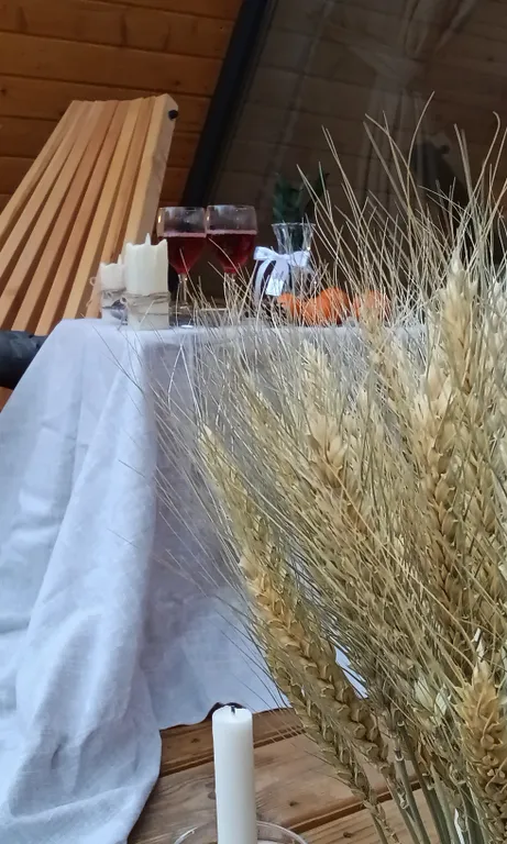 Сканди люкс, дом с камином и видом на лес. LESNOVO