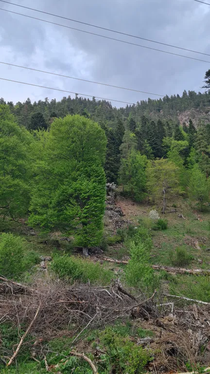 Экодомик с великолепным видом на горы