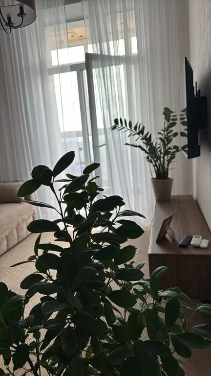 Самое уютные новые апартаменты в центре города