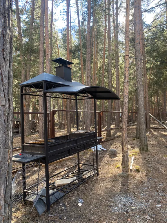 Апартаменты в сосновом бору с видом на горы