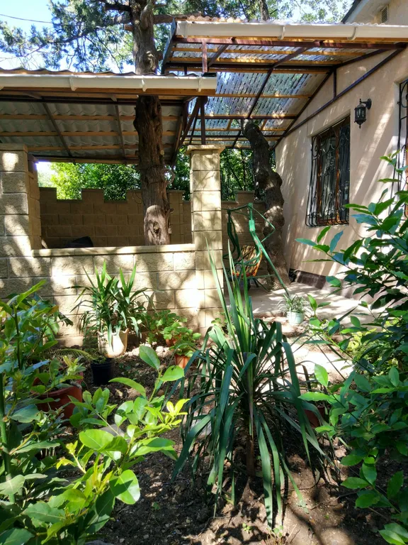 Дом дэлямур мисхор