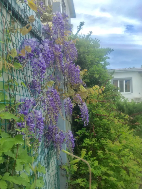 Семейный 3-х комнатный номер в тихом районе