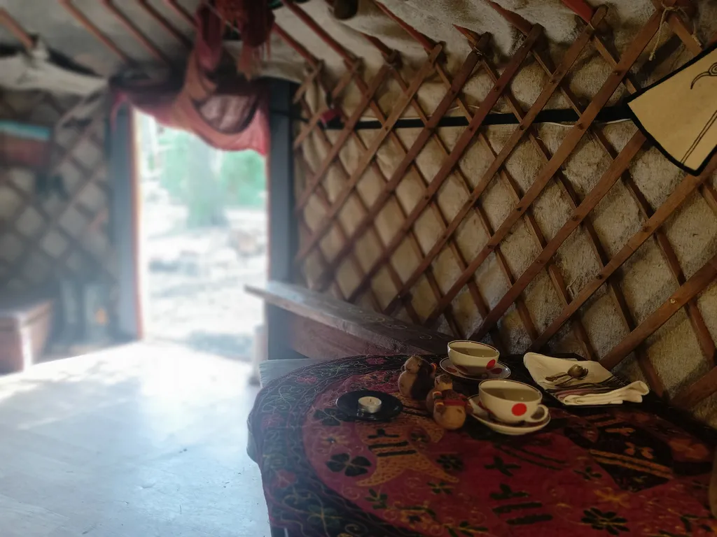 Юрта среди сосен и воздуха