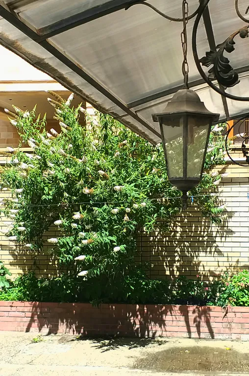 Уютная просторная квартира в элитном районе