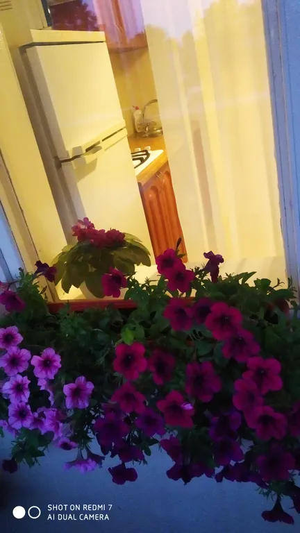 Уютная квартира в историческом центре города