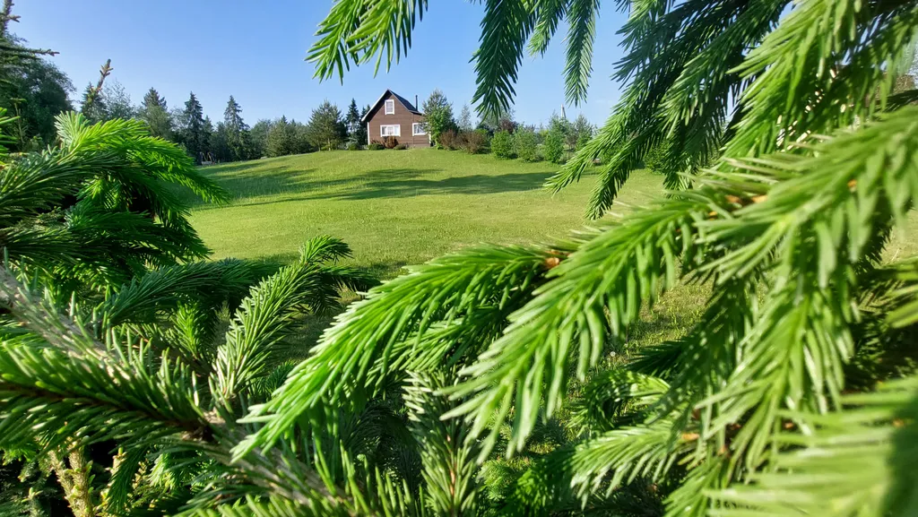 Коттедж Домик у леса, баня, озеро — Домкино