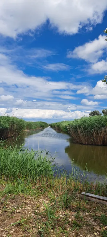 Коттедж Деревянный дом Дача — Темрюк