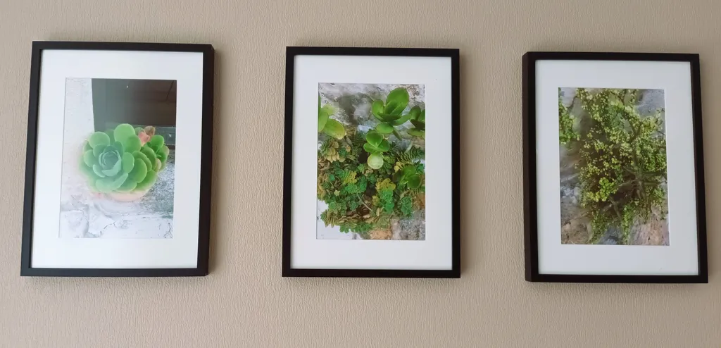 Квартира Квартира Отдых и прогулки к морю — Светлогорск