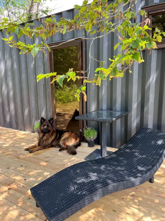 Коттедж 1-комнатный Дом — Геленджик