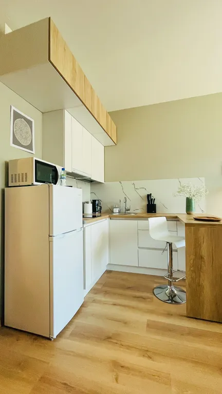 Квартира Квартира Уютная студия в Песочном — Песочный