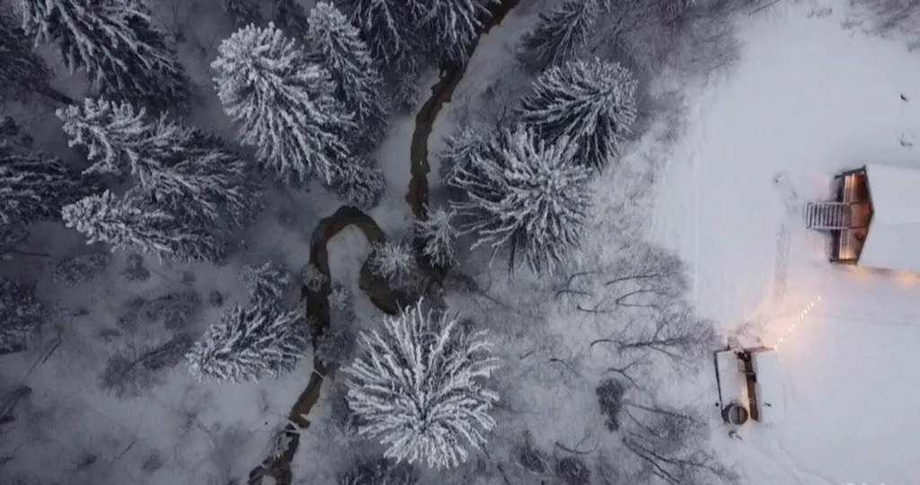 Барн с панорамными окнами с видом на дикий лес