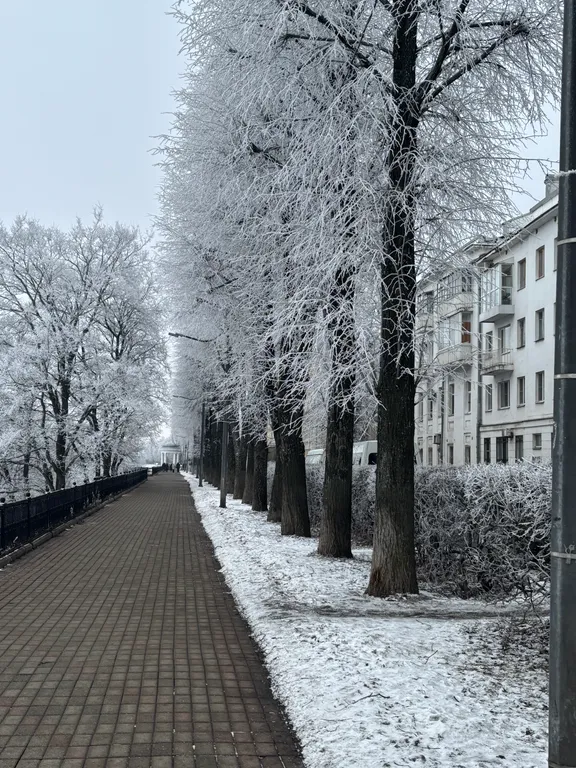 Уютная квартира с видом на реку Волга в центре