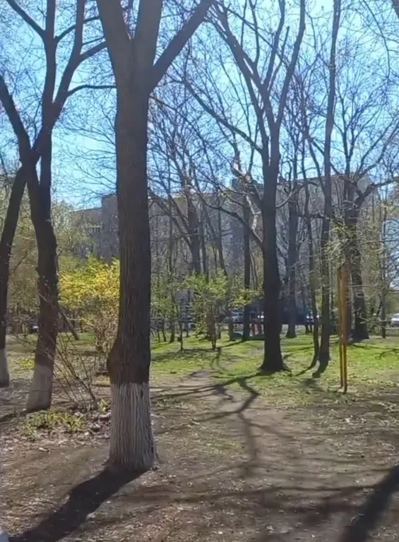 Квартира Комната в 3-х комнатной квартире на Седанке рядом с пляжем — Владивосток