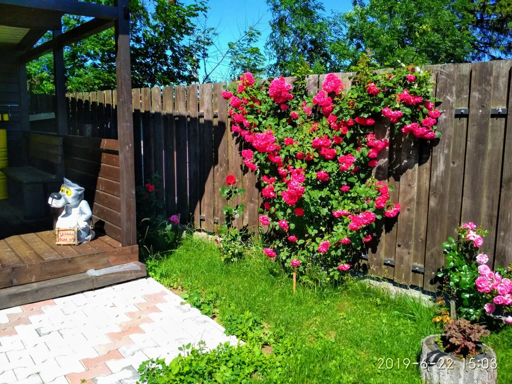 Дом с беседкой