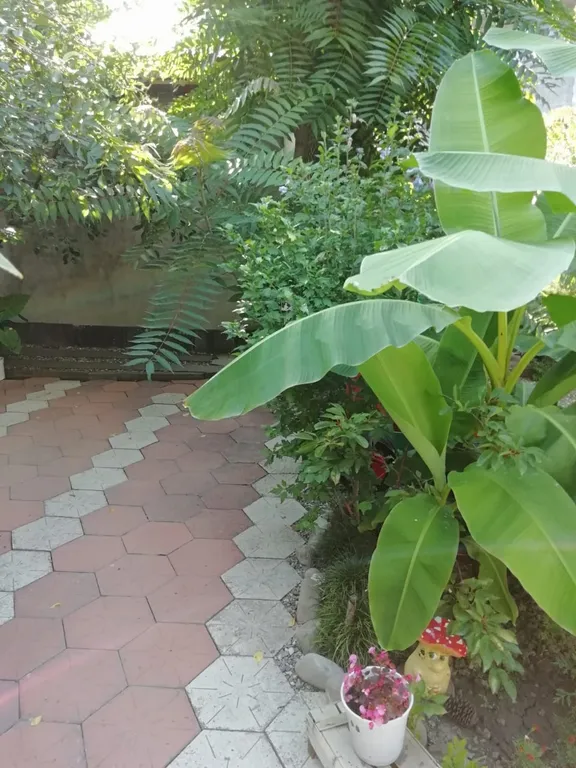 Коттедж Коттедж в 7 минутах от моря — Лазаревское