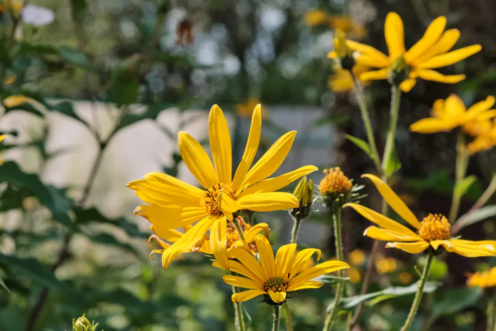 Дом с баней вдали от всех