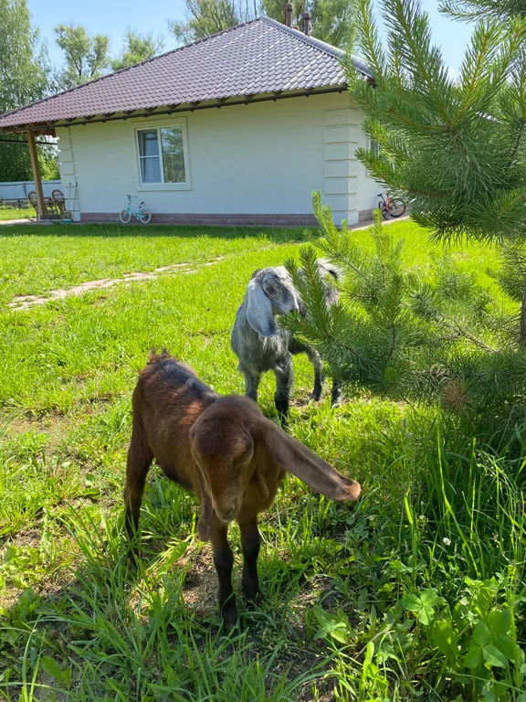 Дом у озера