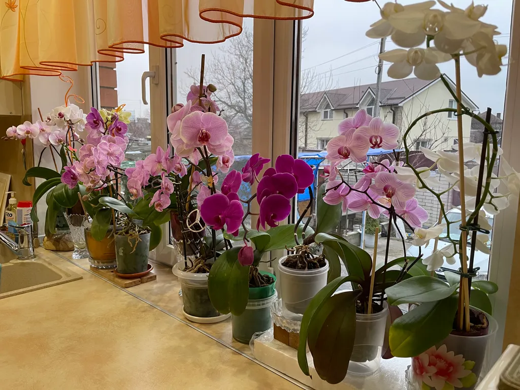 Уютный дом под ключ