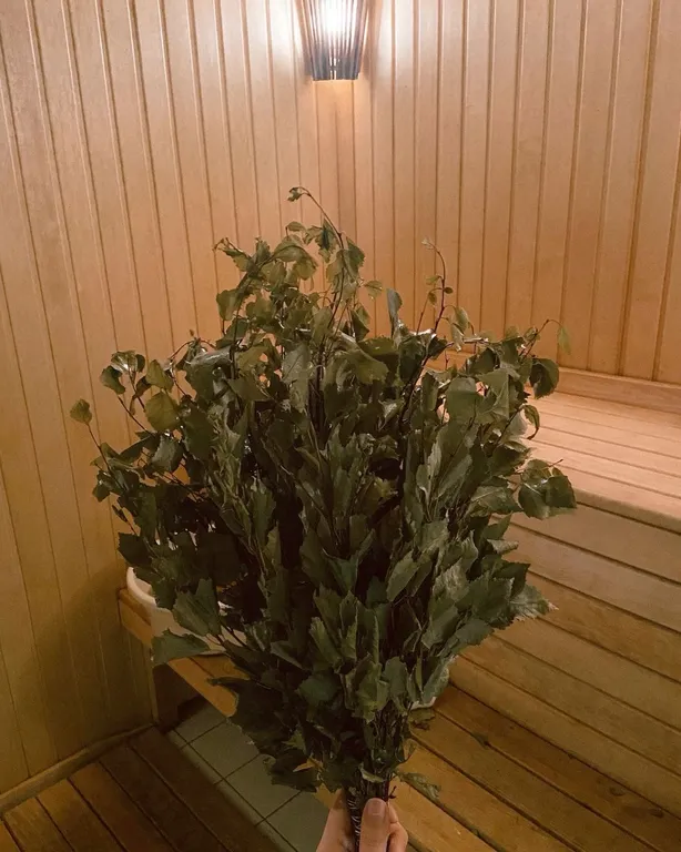 Дом с баней и чаном на дровах